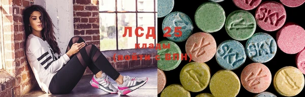 трава Бородино